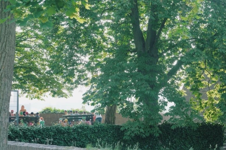 image_3213636641530470651070.jpg?type=w773