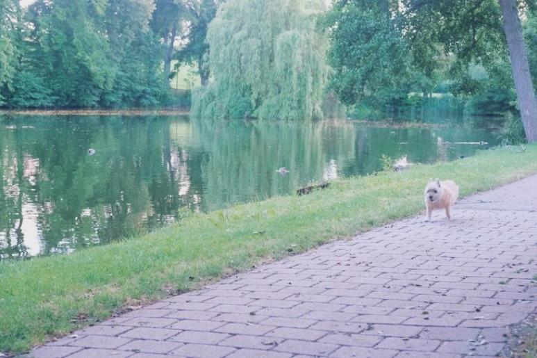 DF149B4A-8554-4CAF-AA92-FEAA3494DD15.jpg?type=w773