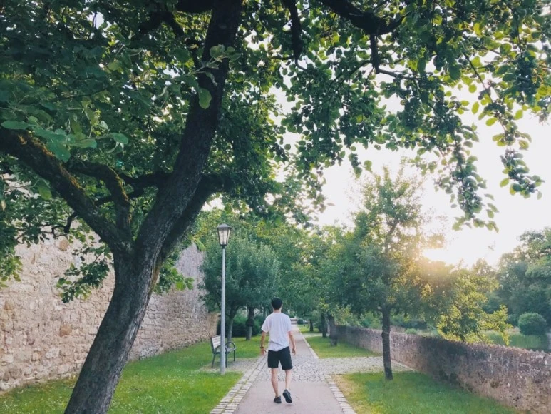 F44660F9-FF17-4AE0-A856-FC7E190D6455.jpg?type=w773