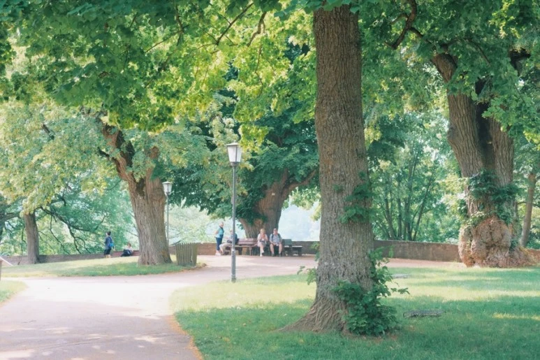 5F34CBBF-305E-4D42-96B0-7F9C3769239B.jpg?type=w773