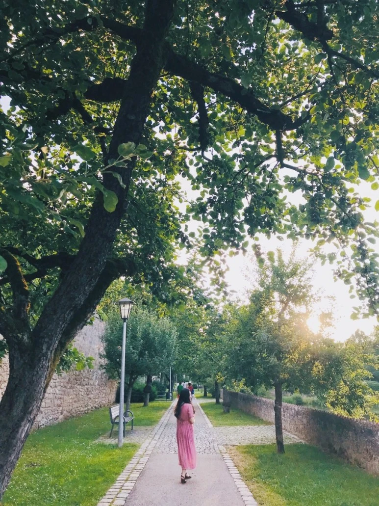 0EFD776B-0701-4C03-B09A-BCDBE1C8EC68.jpg?type=w773