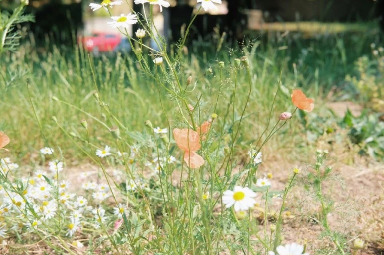 65F77241-A815-4D9C-A53A-4EBBB6A2573C.jpg?type=w773