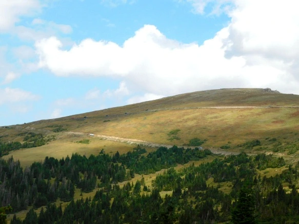 99BFA8475B6E6A3836AE81