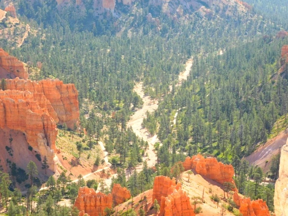 272F89375769D7541C49A7