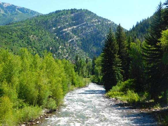 22619F41595C3171174B62