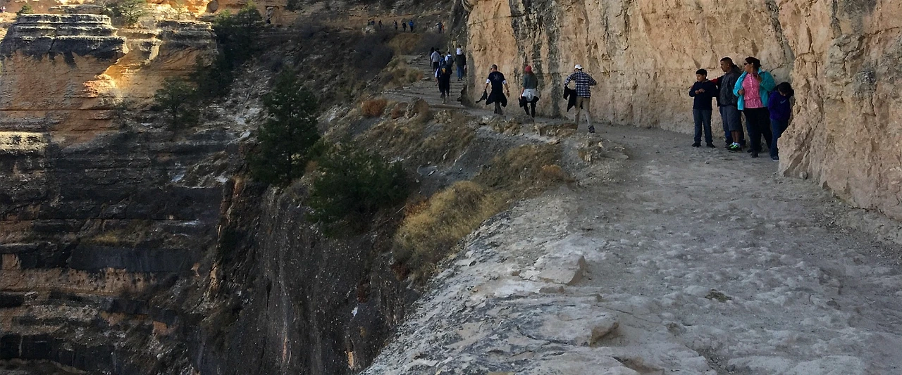 996AD7335A1F5A5529B8B2