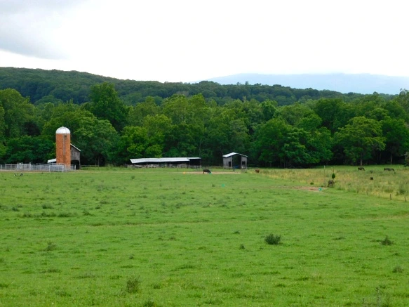 2204A338594C8FCE08CE5E