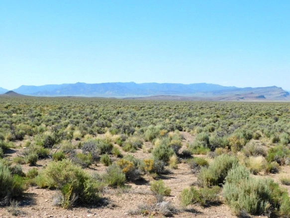 26301740576F44E61084F1