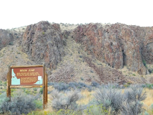 99E23E3359AB28F914DBBD