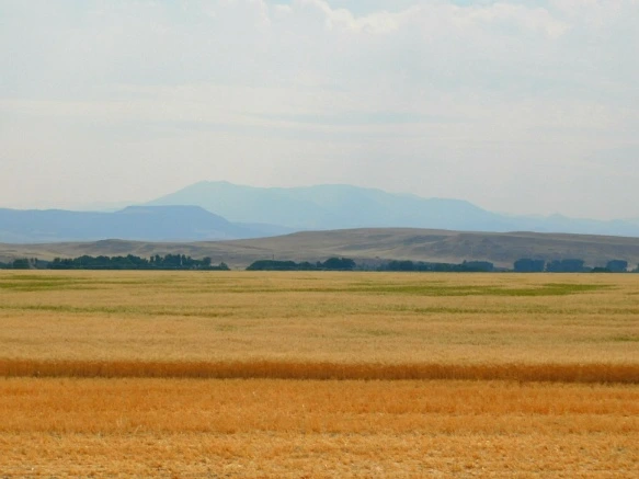 99698C33599E4F42074CD9