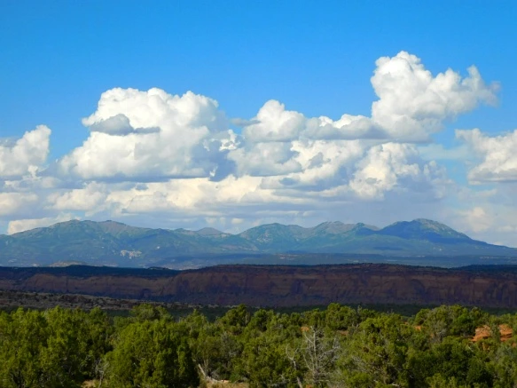 99F88A3359BDC23918053A