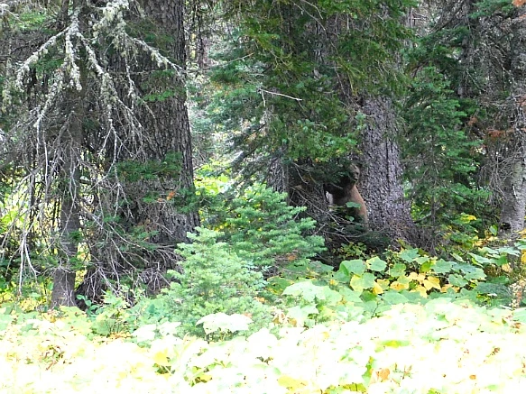 9943404C5BA1B2A4334F2F