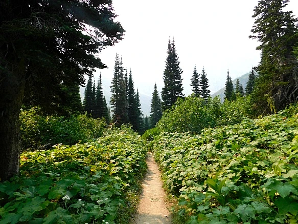 99DE304C5B8751B90A91B8