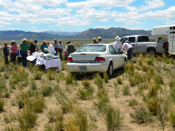 2470984359363521308C39