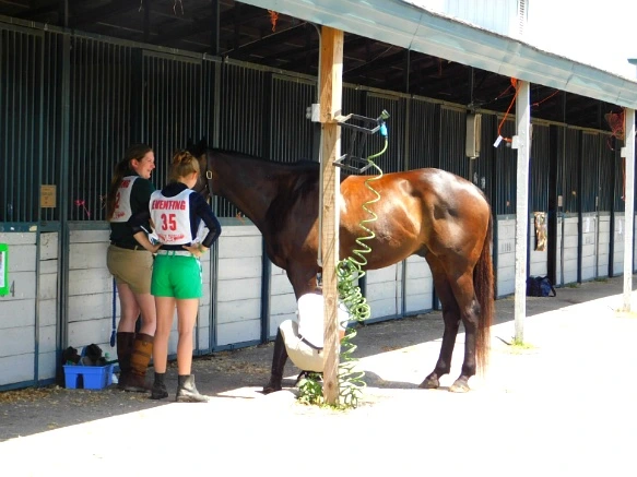 274B2833597D1710291012