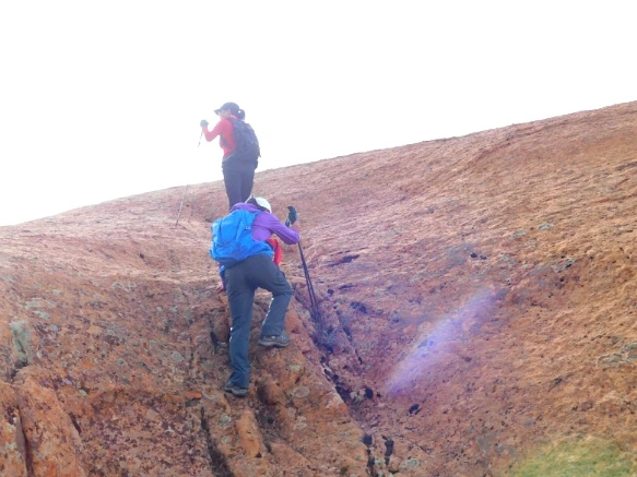 99CE63335A18D4F42052EB