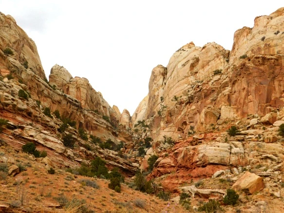 996613335A13BB211BE203