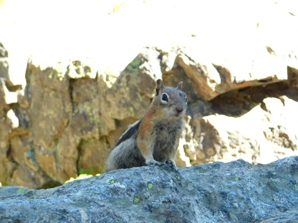 99B96F495B7266D63045B5