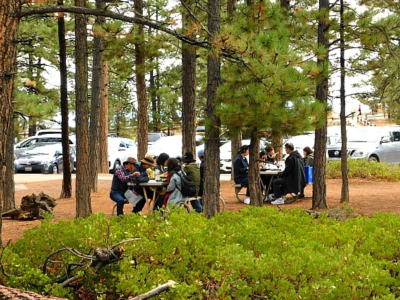 99BA884A5BC67D1E037A70