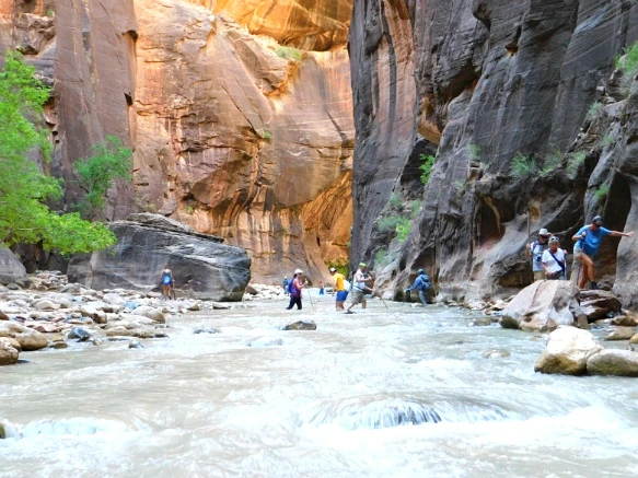 9934113359BB14F739E111