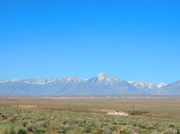 2503844157702E35240CA0