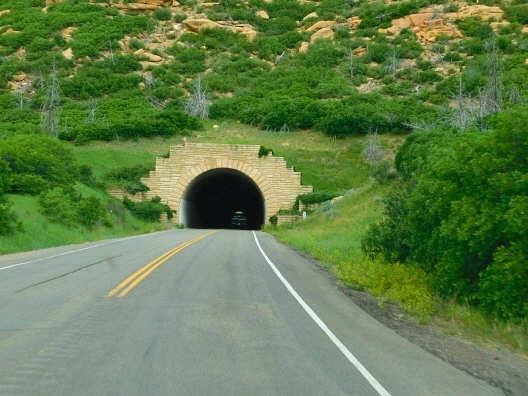 215493465762255011CE4D