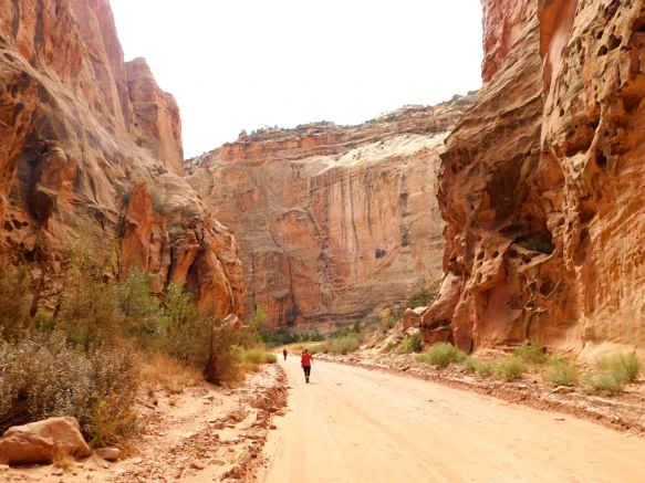 9988594E5BC2B54D0601A0