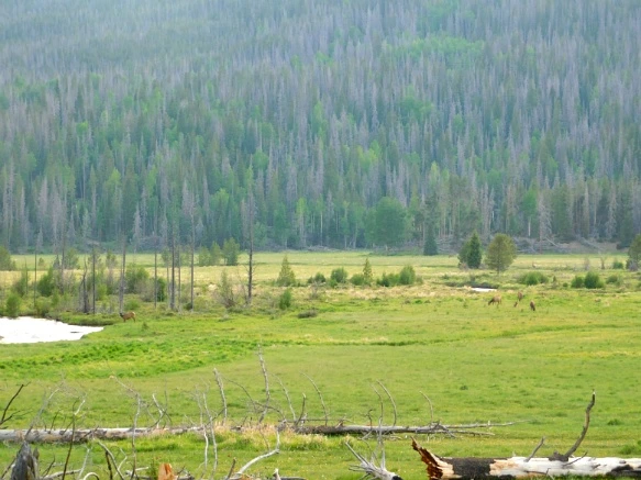 999D9D4C5B29ECA01ED1A7