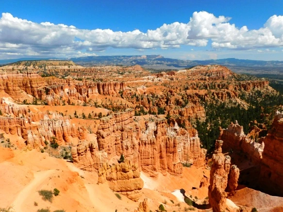 994E203359B87893128965