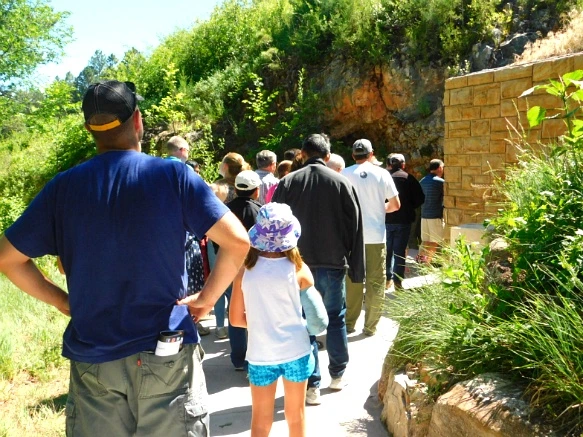 99F2F9435B44053D374B1E