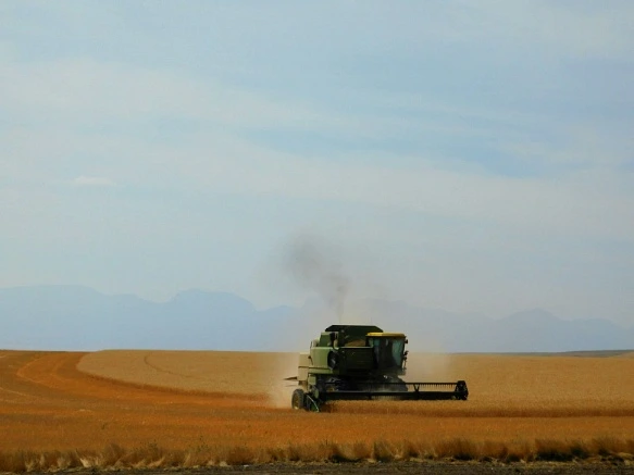 9998CC33599F9D7F133BC4