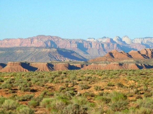 26564742576CC665046564