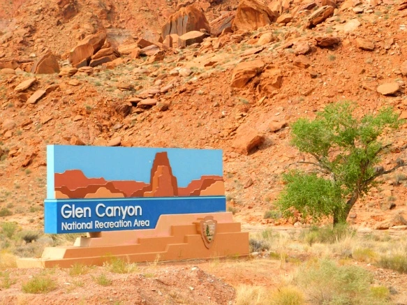 99234F3359B5E7211A1963