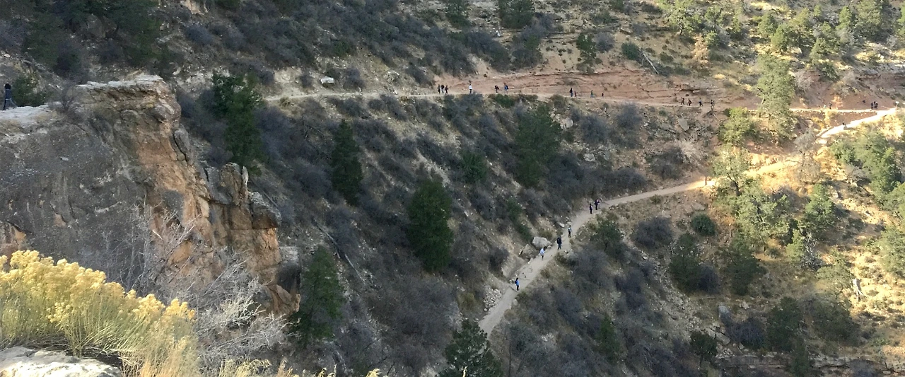 99D183335A1F5A5A293ED6