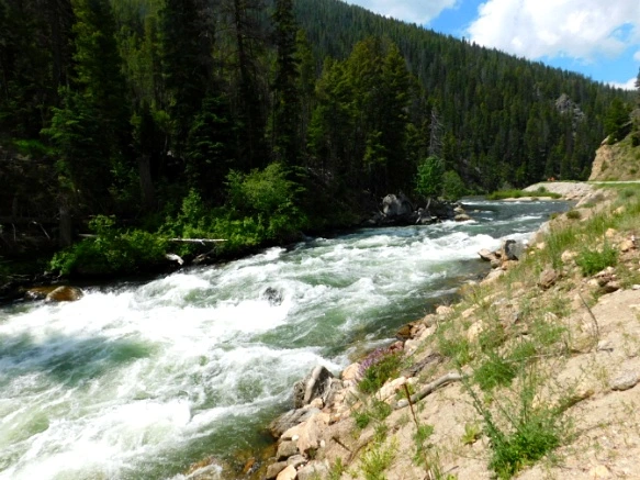 99188B3D5B2F290A023928