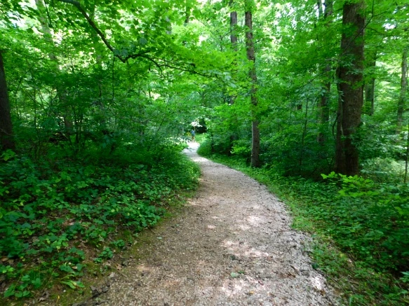 2715CA5059484C500CF891