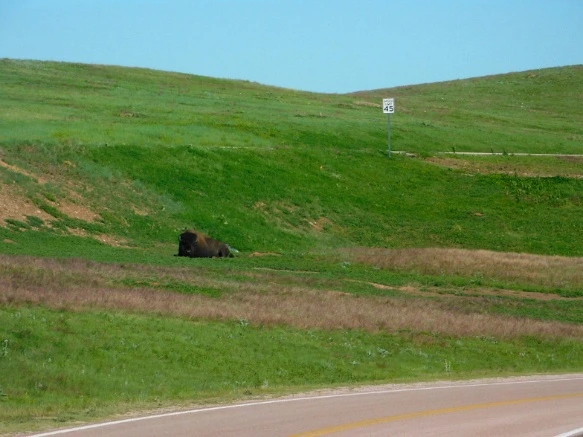 99947E4F5B442E3925EBF9