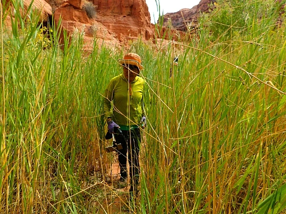 99D92F4F5BBC2D2A1064B9