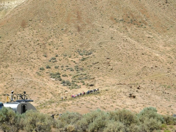 992394365B2DE46D109702