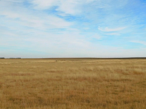 997E32335A07C8512434FF