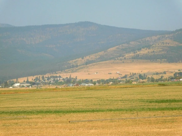 992D0E3359A3830A090BC2