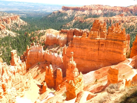 9944353359B8787714856C