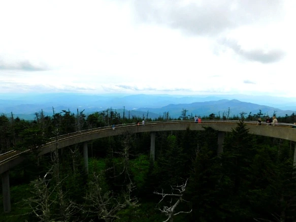 2716F24F5950982E296C41