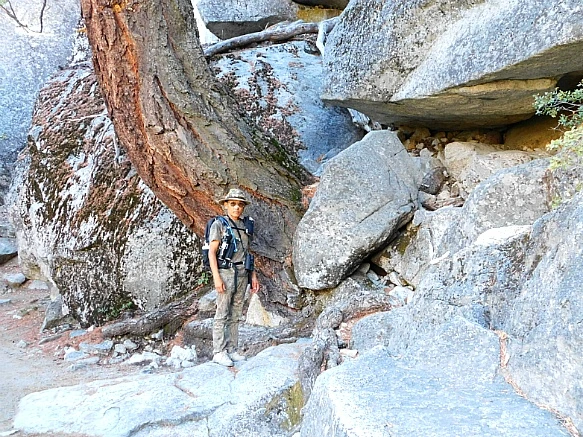 995D05415BD913A704E84B