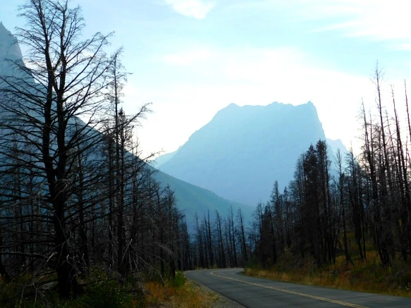 994E7F3359A10392192284