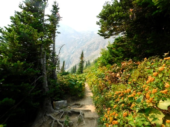 991EFB4D5B8753710D190E