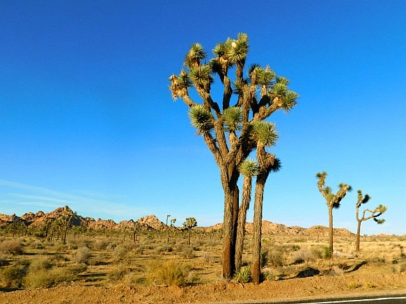 9951D7455BE11AF308A304