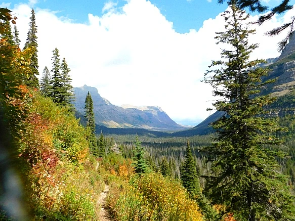 99ADC64C5BAAFA070650CE