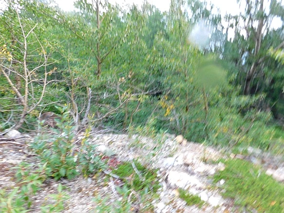 990CBA3C5B8CA171029BE9