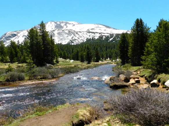 24622942577218E73313A6